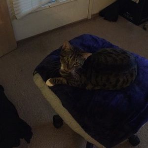 Meet your Posher, Anthony